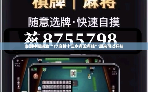 实测神器辅助“17麻将十三水有没有挂”原来可以开挂