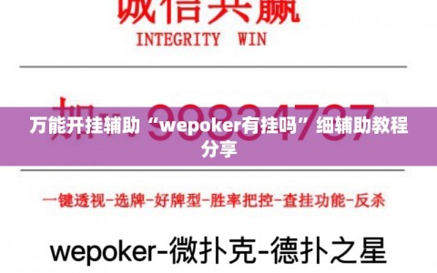 万能开挂辅助“wepoker有挂吗”细辅助教程分享