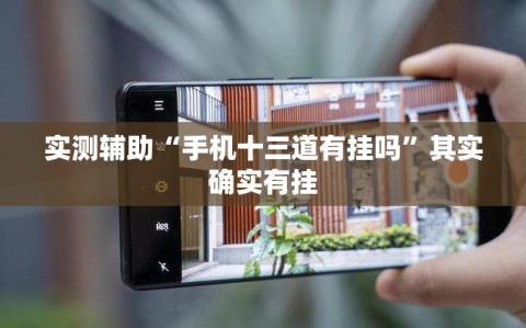 实测辅助“手机十三道有挂吗”其实确实有挂