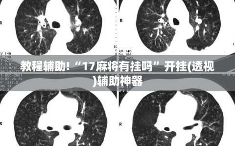 教程辅助!“17麻将有挂吗”开挂(透视)辅助神器