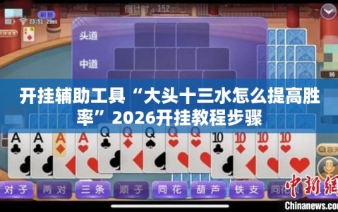 开挂辅助工具“大头十三水怎么提高胜率”2026开挂教程步骤
