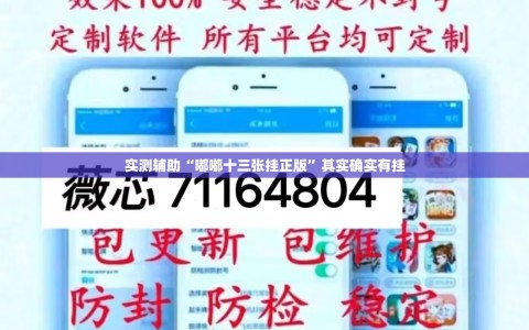 实测辅助“嘟嘟十三张挂正版”其实确实有挂