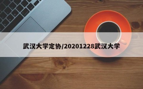 武汉大学定协/20201228武汉大学