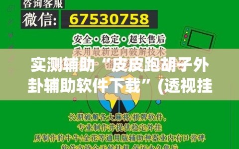 实测辅助“皮皮跑胡子外卦辅助软件下载”(透视挂)辅助下载教程