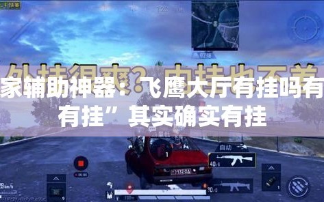 玩家辅助神器：飞鹰大厅有挂吗有没有挂”其实确实有挂