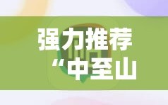 强力推荐“中至山西麻将开挂辅助器通用版”2026开挂教程步骤