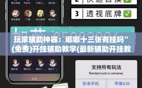 玩家辅助神器：嘟嘟十三张有挂吗”(免费)开挂辅助教学(最新辅助开挂教程)