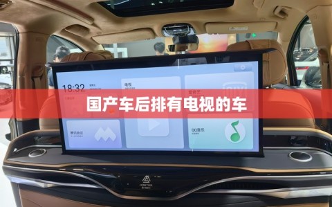 国产车后排有电视的车