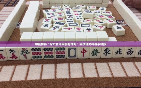助赢神器“挖坑青海麻将有挂吗”科技辅助神器手机版