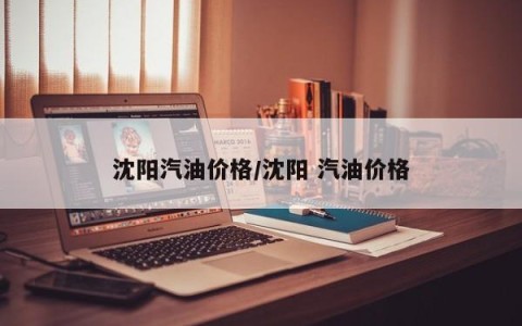 沈阳汽油价格/沈阳 汽油价格