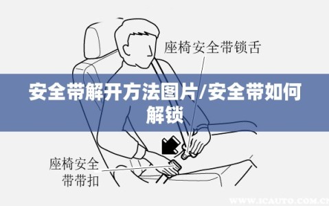 安全带解开方法图片/安全带如何解锁