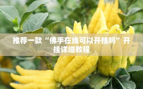 推荐一款“佛手在线可以开挂吗”开挂详细教程