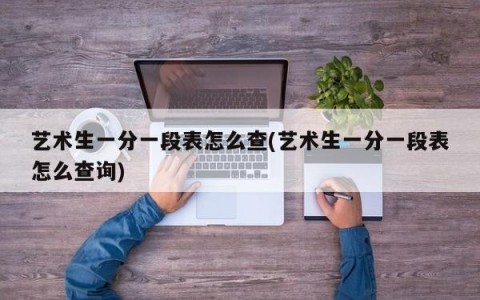 艺术生一分一段表怎么查(艺术生一分一段表怎么查询)