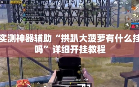 实测神器辅助“拱趴大菠萝有什么挂吗”详细开挂教程