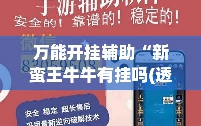 万能开挂辅助“新蛮王牛牛有挂吗(透视)”开挂辅助脚本+详细开挂安装教程