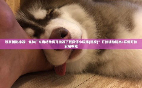 玩家辅助神器：雀神广东麻将免费开挂器下载微信小程序(透视)”开挂辅助脚本+详细开挂安装教程