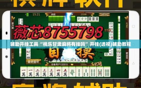 辅助开挂工具“桃乐甘肃麻将有挂吗”开挂(透视)辅助教程