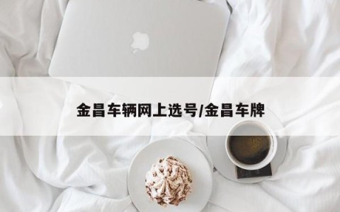 金昌车辆网上选号/金昌车牌