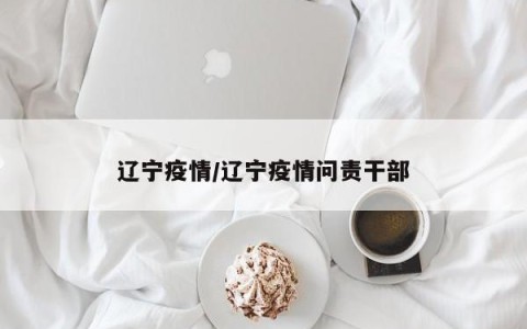辽宁疫情/辽宁疫情问责干部