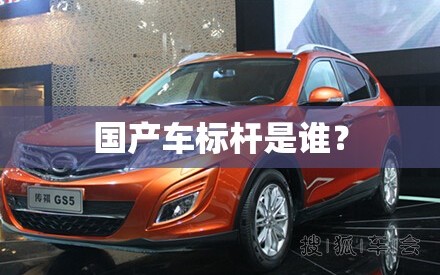 国产车标杆是谁？