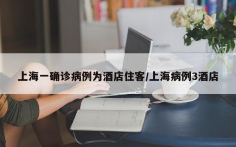 上海一确诊病例为酒店住客/上海病例3酒店