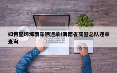如何查询海南车辆违章/海南省交警总队违章查询