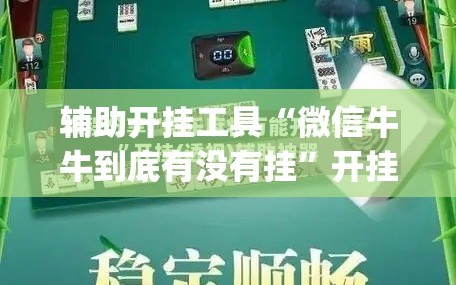 辅助开挂工具“微信牛牛到底有没有挂”开挂(透视)辅助教程