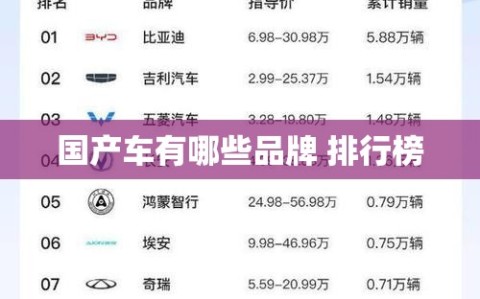 国产车有哪些品牌 排行榜