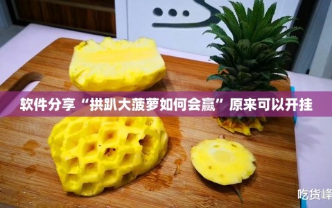 软件分享“拱趴大菠萝如何会赢”原来可以开挂