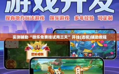 实测辅助“微乐免费挂试用三天”开挂(透视)辅助教程