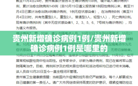贵州新增确诊病例1例/贵州新增确诊病例1例是哪里的
