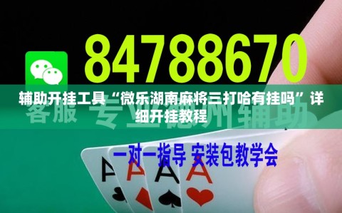 辅助开挂工具“微乐湖南麻将三打哈有挂吗”详细开挂教程