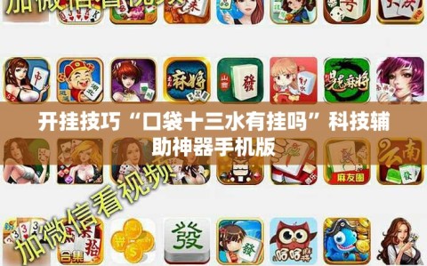 开挂技巧“口袋十三水有挂吗”科技辅助神器手机版