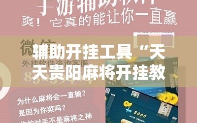 辅助开挂工具“天天贵阳麻将开挂教程”详细开挂教程