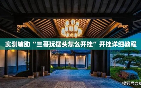 实测辅助“三哥玩摆头怎么开挂”开挂详细教程