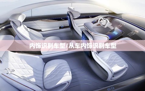 内饰识别车型/从车内饰识别车型