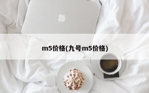 m5价格(九号m5价格)