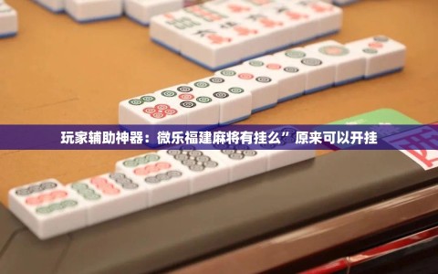 玩家辅助神器：微乐福建麻将有挂么”原来可以开挂