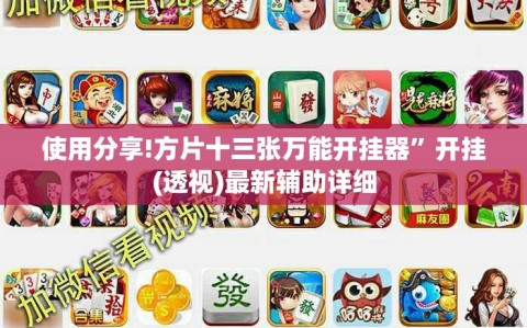 使用分享!方片十三张万能开挂器”开挂(透视)最新辅助详细
