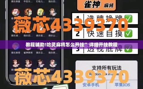 教程辅助!哈灵麻将怎么开挂”详细开挂教程