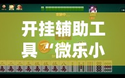 开挂辅助工具“微乐小程序麻将能不能开挂”(免费)开挂辅助教学(最新辅助开挂教程)