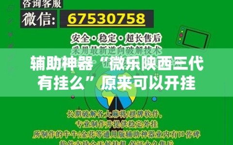 辅助神器“微乐陕西三代有挂么”原来可以开挂