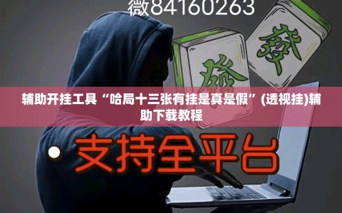 辅助开挂工具“哈局十三张有挂是真是假”(透视挂)辅助下载教程
