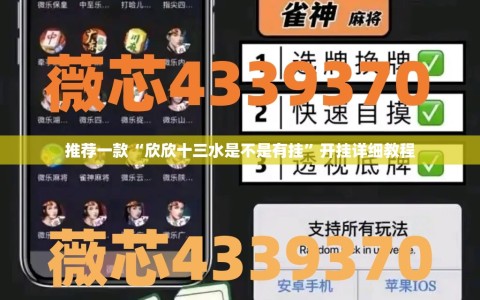 推荐一款“欣欣十三水是不是有挂”开挂详细教程