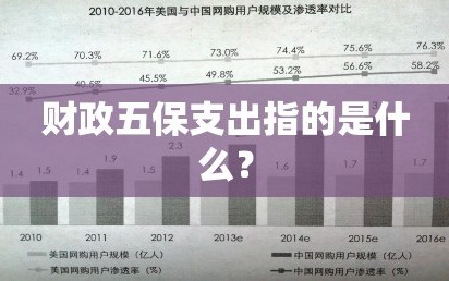 财政五保支出指的是什么？