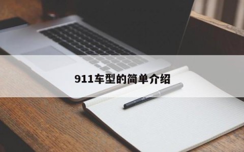 911车型的简单介绍
