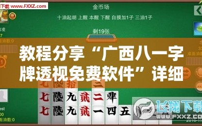 教程分享“广西八一字牌透视免费软件”详细分享装挂步骤