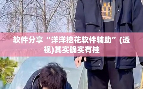 软件分享“洋洋挖花软件辅助”(透视)其实确实有挂