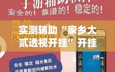 实测辅助“家乡大贰透视开挂”开挂(透视)辅助神器