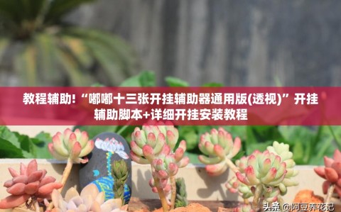 教程辅助!“嘟嘟十三张开挂辅助器通用版(透视)”开挂辅助脚本+详细开挂安装教程